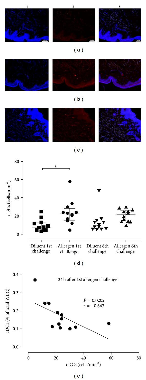 https://cdn.ncbi.nlm.nih.gov/pmc/blobs/48aa/4022198/0c704af6c755/BMRI2014-231036.005.jpg