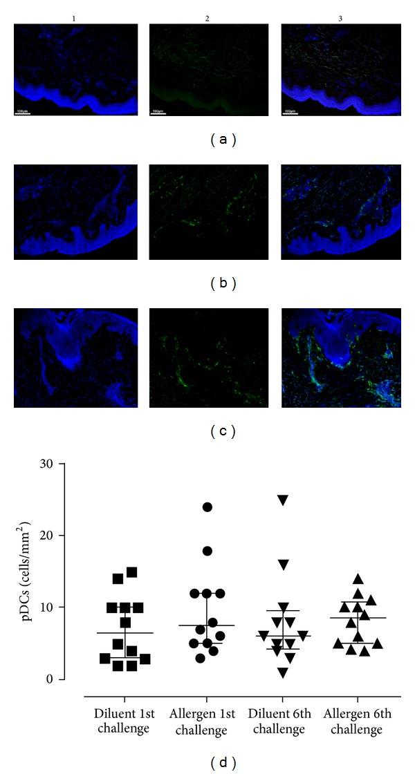 https://cdn.ncbi.nlm.nih.gov/pmc/blobs/48aa/4022198/b558e1caab26/BMRI2014-231036.004.jpg