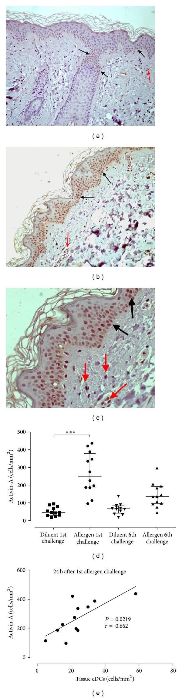 https://cdn.ncbi.nlm.nih.gov/pmc/blobs/48aa/4022198/bfb310148319/BMRI2014-231036.006.jpg