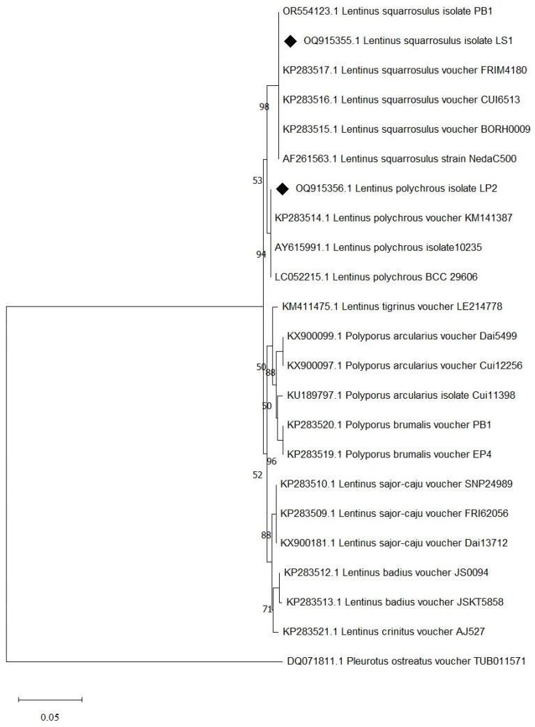 https://cdn.ncbi.nlm.nih.gov/pmc/blobs/48ad/10815080/301ac4f8acdb/foods-13-00287-g003.jpg