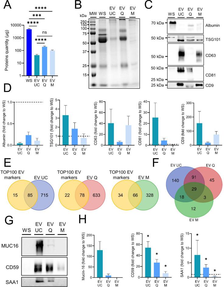 https://cdn.ncbi.nlm.nih.gov/pmc/blobs/48ad/11682200/2c7a342bceba/41598_2024_82488_Fig3_HTML.jpg