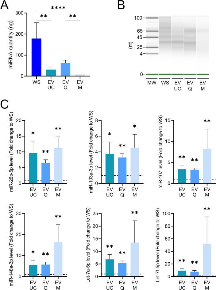 https://cdn.ncbi.nlm.nih.gov/pmc/blobs/48ad/11682200/72745636bbd6/41598_2024_82488_Fig4_HTML.jpg