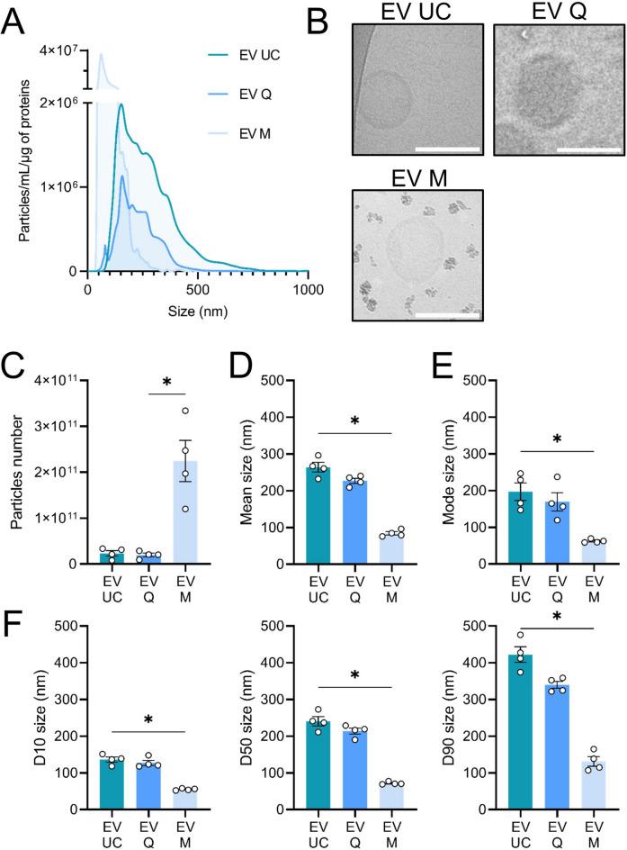 https://cdn.ncbi.nlm.nih.gov/pmc/blobs/48ad/11682200/c138450b0cc1/41598_2024_82488_Fig2_HTML.jpg