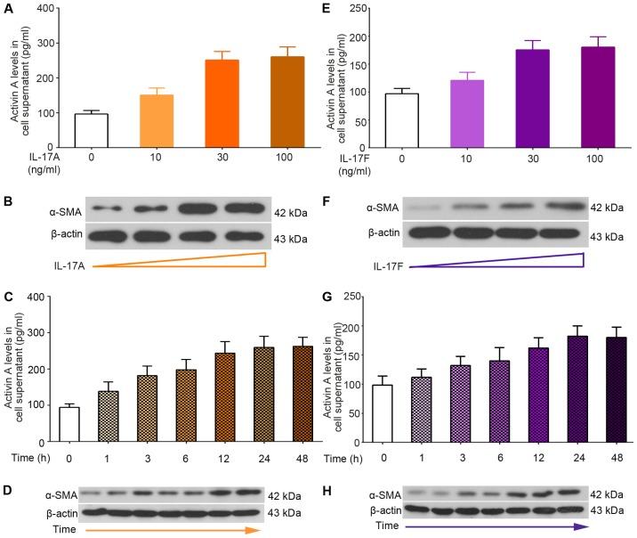 https://cdn.ncbi.nlm.nih.gov/pmc/blobs/48ad/5979935/7e9e7e12a48a/IJMM-42-01-0279-g03.jpg