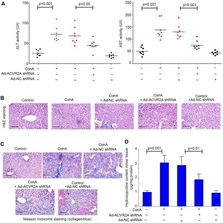 https://cdn.ncbi.nlm.nih.gov/pmc/blobs/48ad/5979935/dd8a6820132e/IJMM-42-01-0279-g01.jpg