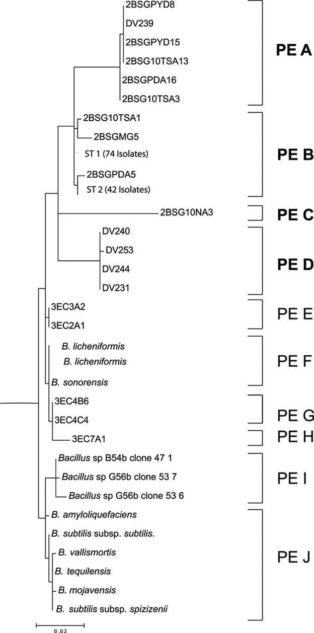 https://cdn.ncbi.nlm.nih.gov/pmc/blobs/48b2/3426423/17bb5773835a/mbo30001-0135-f6.jpg