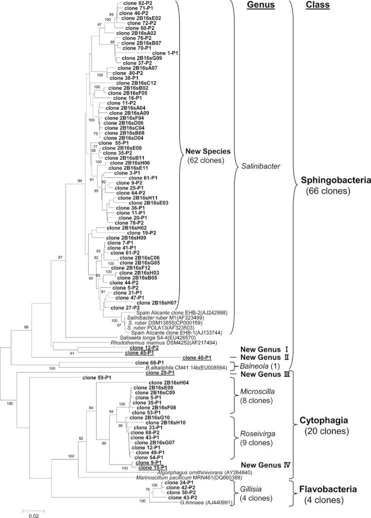 https://cdn.ncbi.nlm.nih.gov/pmc/blobs/48b2/3426423/c9c5d76943df/mbo30001-0135-f4.jpg