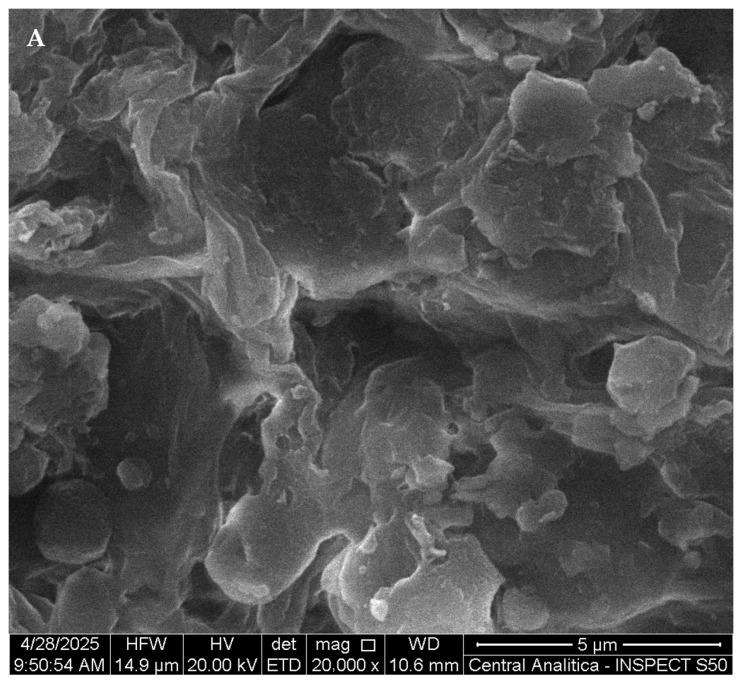 https://cdn.ncbi.nlm.nih.gov/pmc/blobs/48b3/12389197/b9166ad3db9e/pharmaceutics-17-00981-g006a.jpg
