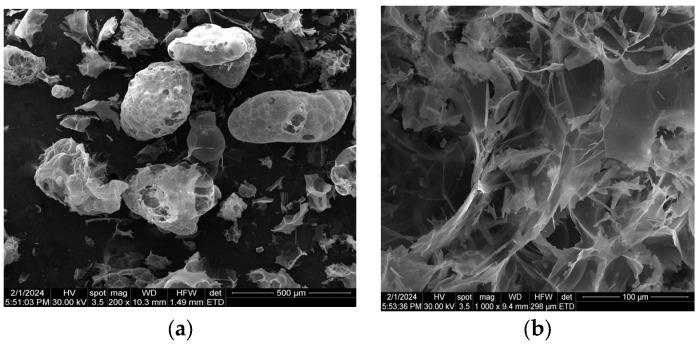 https://cdn.ncbi.nlm.nih.gov/pmc/blobs/48b4/11278091/10fc724b7d8c/materials-17-03412-g002.jpg