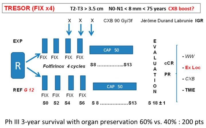 https://cdn.ncbi.nlm.nih.gov/pmc/blobs/48b5/8908981/ed1f229fe218/cancers-14-01313-g004.jpg