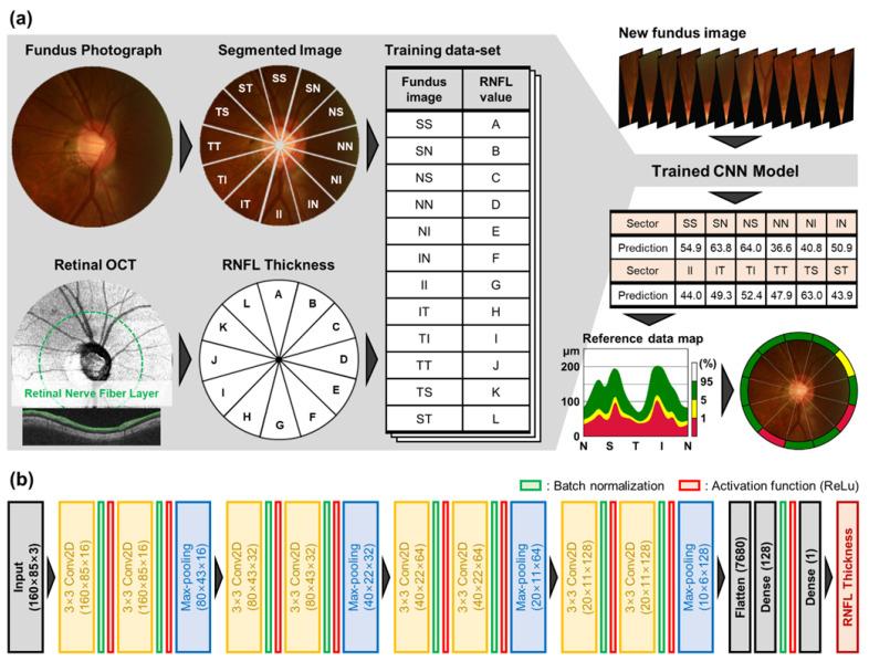 https://cdn.ncbi.nlm.nih.gov/pmc/blobs/48b5/9689347/0ebf6f661768/diagnostics-12-02894-g001.jpg