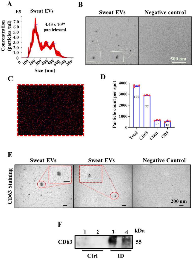 https://cdn.ncbi.nlm.nih.gov/pmc/blobs/48b8/10139190/2d33b1c4c690/ijms-24-07507-g002.jpg