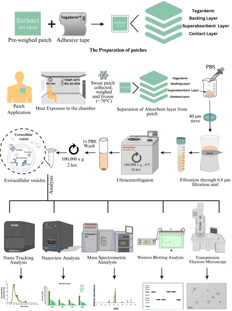 https://cdn.ncbi.nlm.nih.gov/pmc/blobs/48b8/10139190/80bfcbf9ad95/ijms-24-07507-g001.jpg