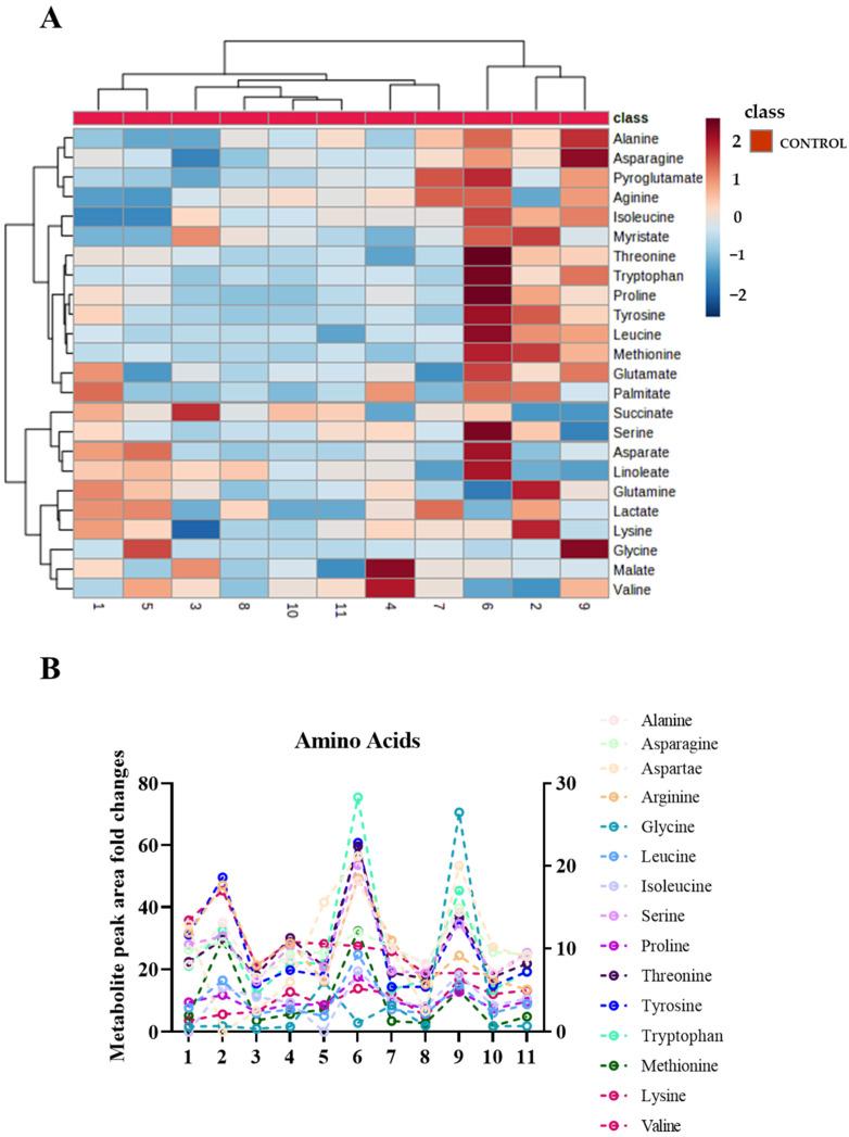 https://cdn.ncbi.nlm.nih.gov/pmc/blobs/48b8/10139190/c9de45507800/ijms-24-07507-g003.jpg