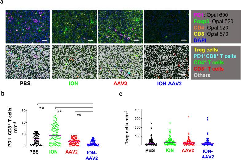 https://cdn.ncbi.nlm.nih.gov/pmc/blobs/48ba/10759334/102a24baa331/12929_2023_989_Fig4_HTML.jpg