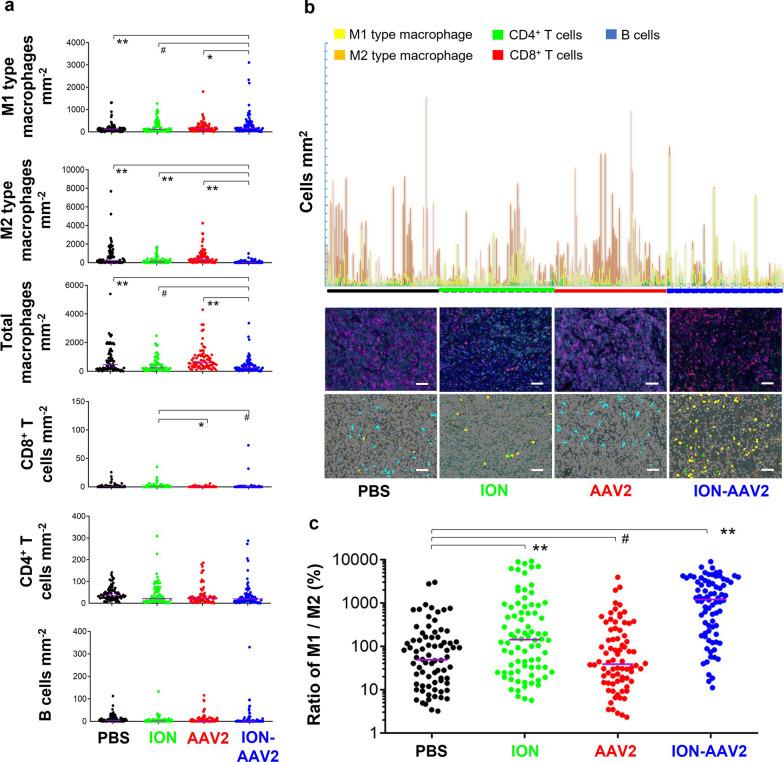 https://cdn.ncbi.nlm.nih.gov/pmc/blobs/48ba/10759334/d0d43528c7a9/12929_2023_989_Fig3_HTML.jpg