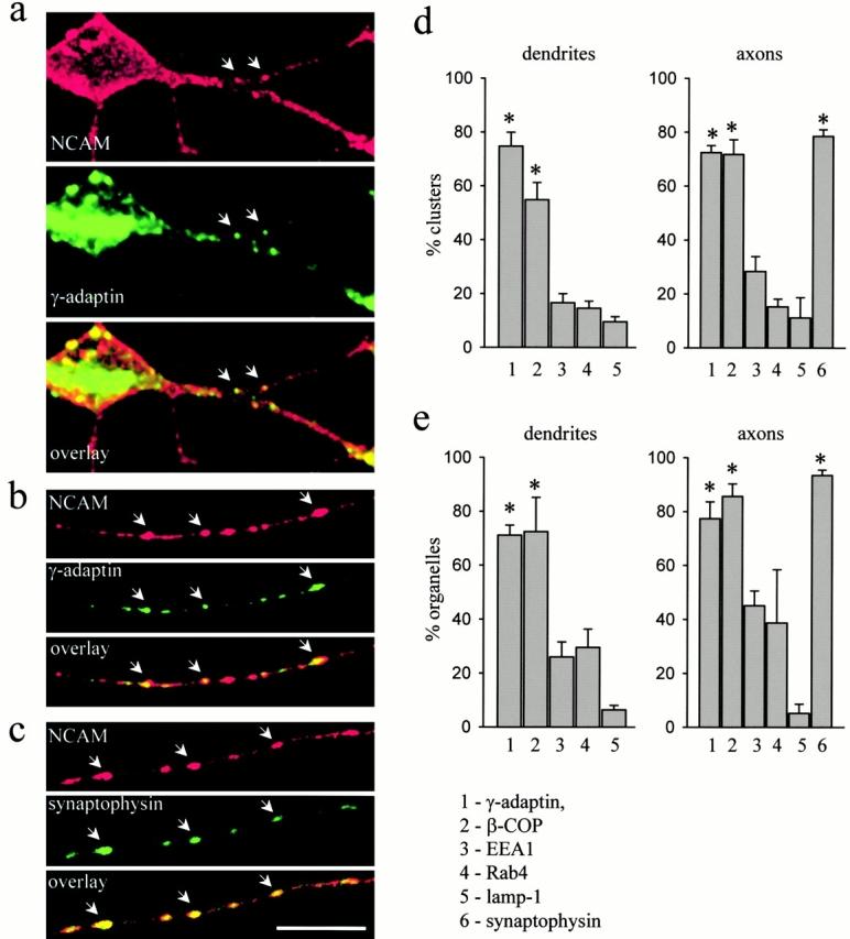 https://cdn.ncbi.nlm.nih.gov/pmc/blobs/48bc/2173095/961514d623cf/200205098f2.jpg