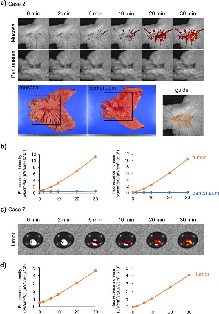 https://cdn.ncbi.nlm.nih.gov/pmc/blobs/48bc/8139979/2e26051456d7/41598_2021_88982_Fig3_HTML.jpg