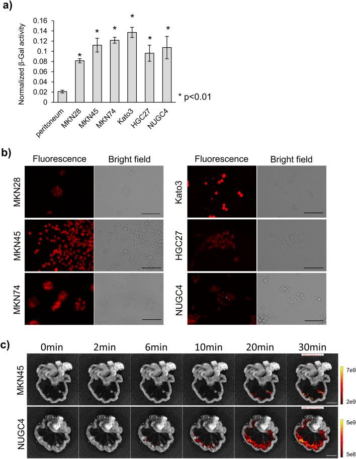 https://cdn.ncbi.nlm.nih.gov/pmc/blobs/48bc/8139979/9d2eab4f5396/41598_2021_88982_Fig2_HTML.jpg