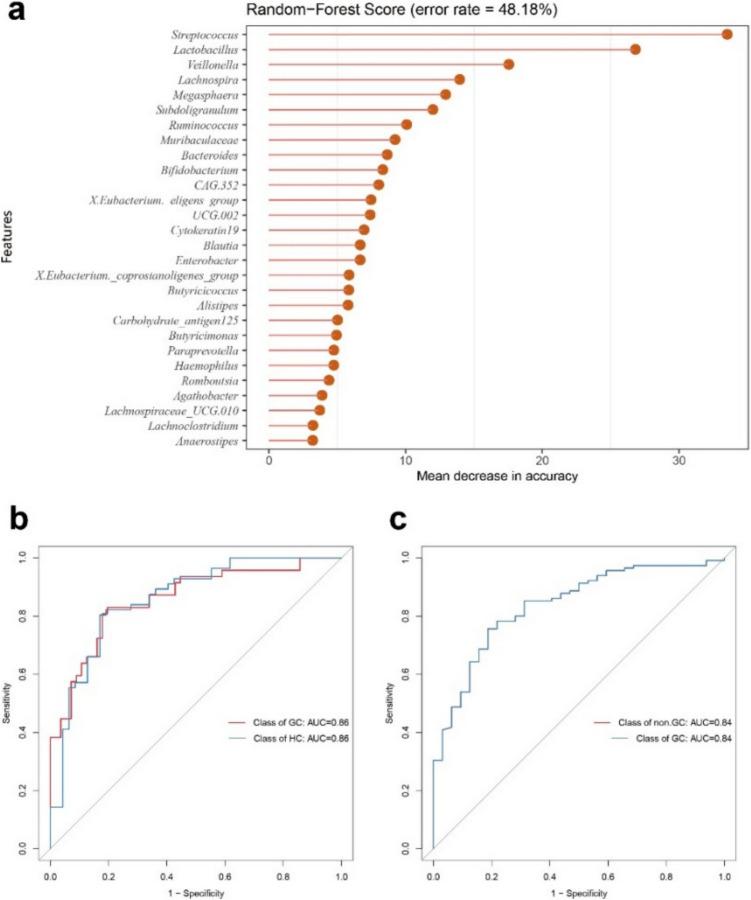 https://cdn.ncbi.nlm.nih.gov/pmc/blobs/48be/12245982/860752cedffa/253_2025_13548_Fig5_HTML.jpg