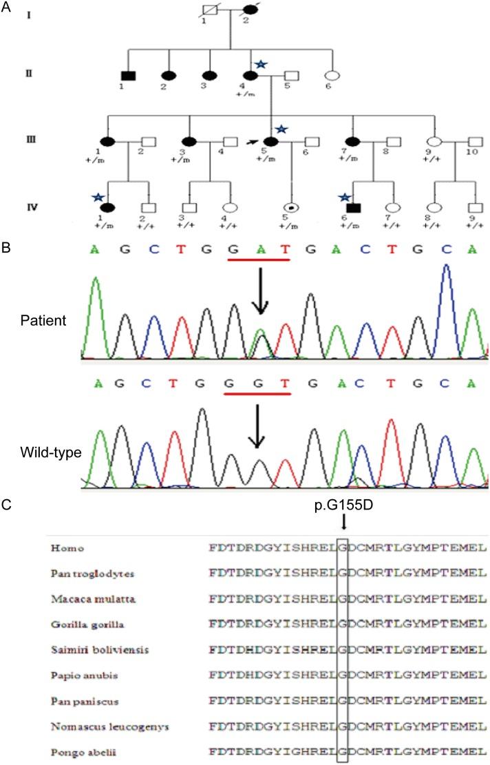 https://cdn.ncbi.nlm.nih.gov/pmc/blobs/48be/5668010/e95cc3e94a25/oncotarget-08-78940-g001.jpg