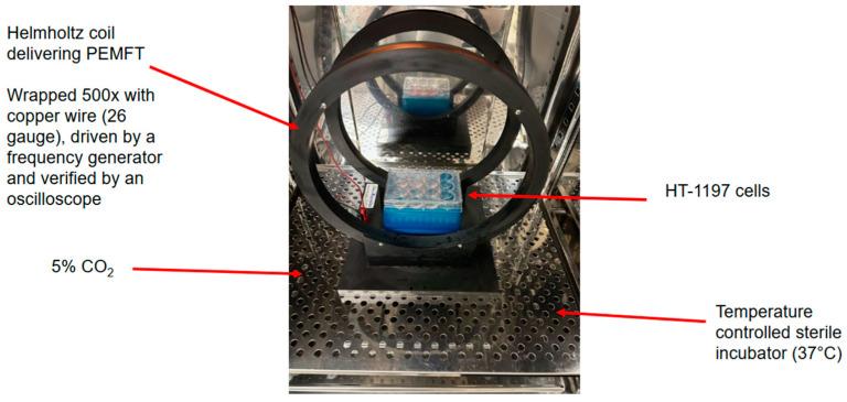 https://cdn.ncbi.nlm.nih.gov/pmc/blobs/48bf/12028732/28c584cb85ca/jpm-15-00143-g002.jpg
