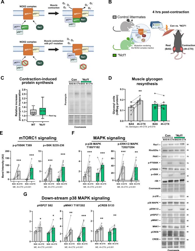 https://cdn.ncbi.nlm.nih.gov/pmc/blobs/48bf/12418856/e8698261825a/gr2.jpg