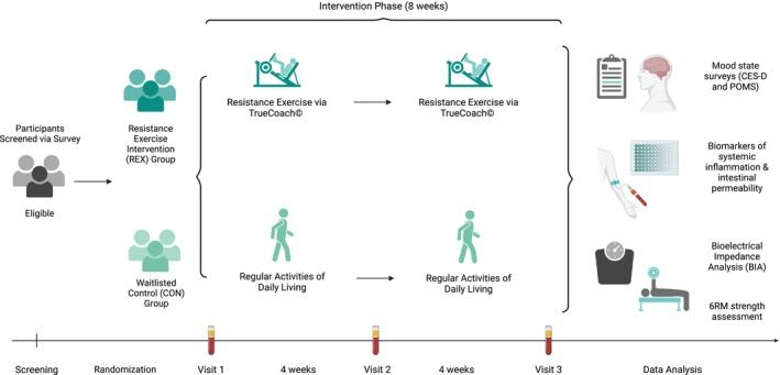 https://cdn.ncbi.nlm.nih.gov/pmc/blobs/48c0/11807843/f4174963142a/PHY2-13-e70219-g001.jpg