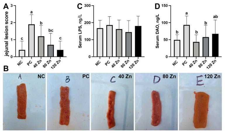 https://cdn.ncbi.nlm.nih.gov/pmc/blobs/48c3/12197405/0b6bd44bd70b/toxins-17-00272-g002.jpg