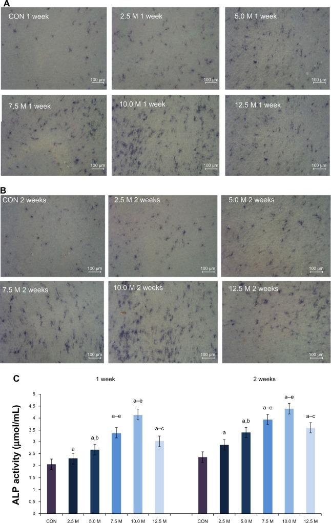 https://cdn.ncbi.nlm.nih.gov/pmc/blobs/48c4/3983010/851712c21019/ijn-9-1741Fig7.jpg
