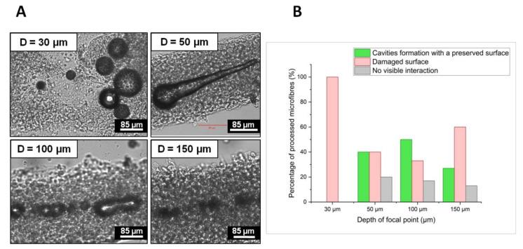 https://cdn.ncbi.nlm.nih.gov/pmc/blobs/48c5/9224315/39713d9a9772/ijms-23-06636-g001.jpg