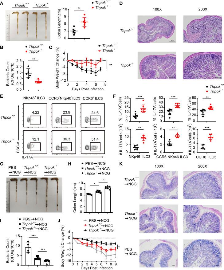 https://cdn.ncbi.nlm.nih.gov/pmc/blobs/48c5/9285022/7193a96742c0/fimmu-13-939033-g004.jpg