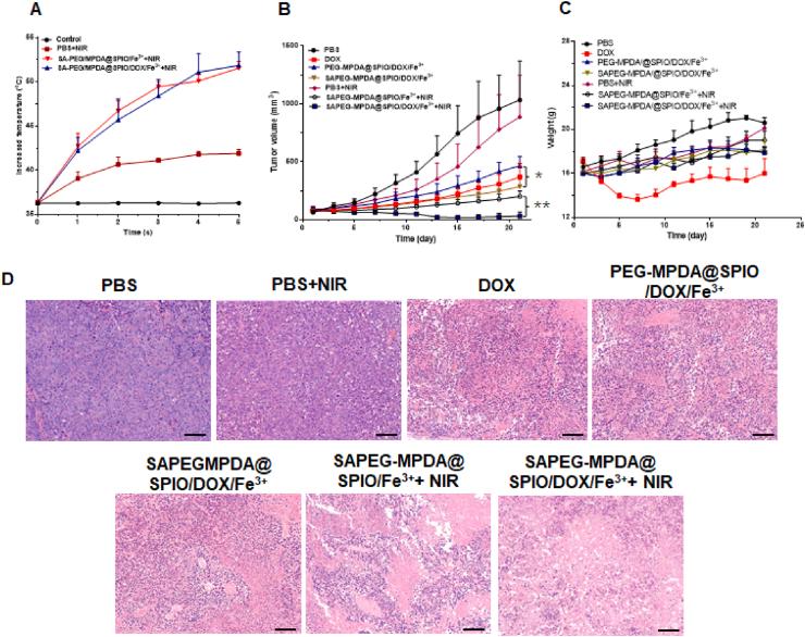 https://cdn.ncbi.nlm.nih.gov/pmc/blobs/48c6/7658445/9d295cafcb5e/gr5.jpg