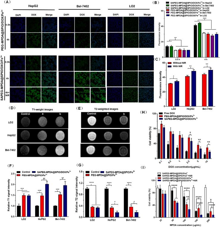 https://cdn.ncbi.nlm.nih.gov/pmc/blobs/48c6/7658445/d3077fd87b40/gr3.jpg