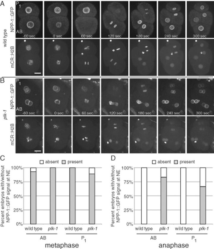 https://cdn.ncbi.nlm.nih.gov/pmc/blobs/48c7/4678026/6e8f2430f979/4718fig4.jpg