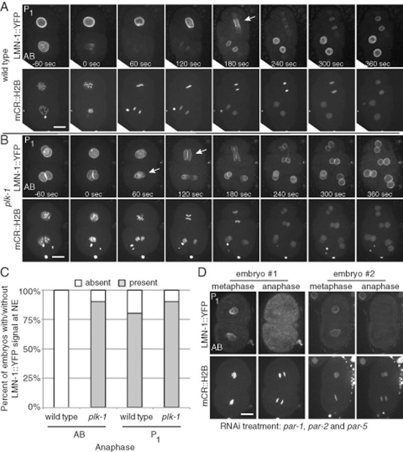 https://cdn.ncbi.nlm.nih.gov/pmc/blobs/48c7/4678026/7ede2efb338b/4718fig8.jpg