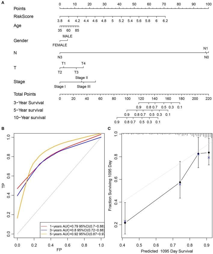 https://cdn.ncbi.nlm.nih.gov/pmc/blobs/48c7/6914845/cfc94035fb43/fonc-09-01314-g0007.jpg