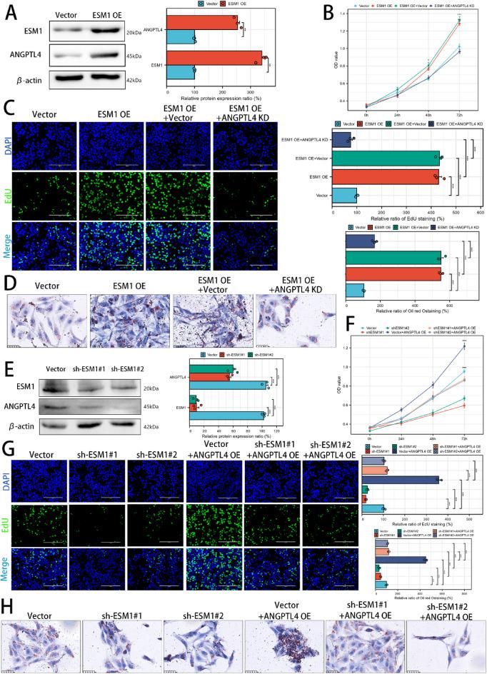 https://cdn.ncbi.nlm.nih.gov/pmc/blobs/48c8/12050336/4b15c81e91d8/41598_2025_581_Fig1_HTML.jpg