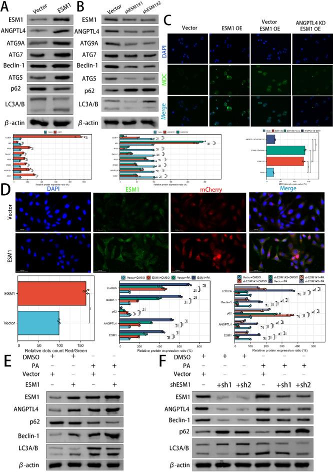 https://cdn.ncbi.nlm.nih.gov/pmc/blobs/48c8/12050336/b17263bf5879/41598_2025_581_Fig3_HTML.jpg