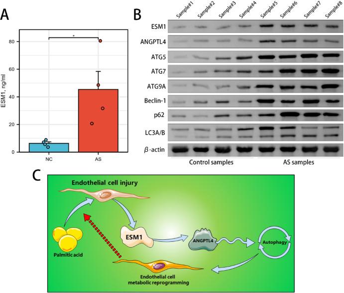 https://cdn.ncbi.nlm.nih.gov/pmc/blobs/48c8/12050336/d964070101be/41598_2025_581_Fig5_HTML.jpg