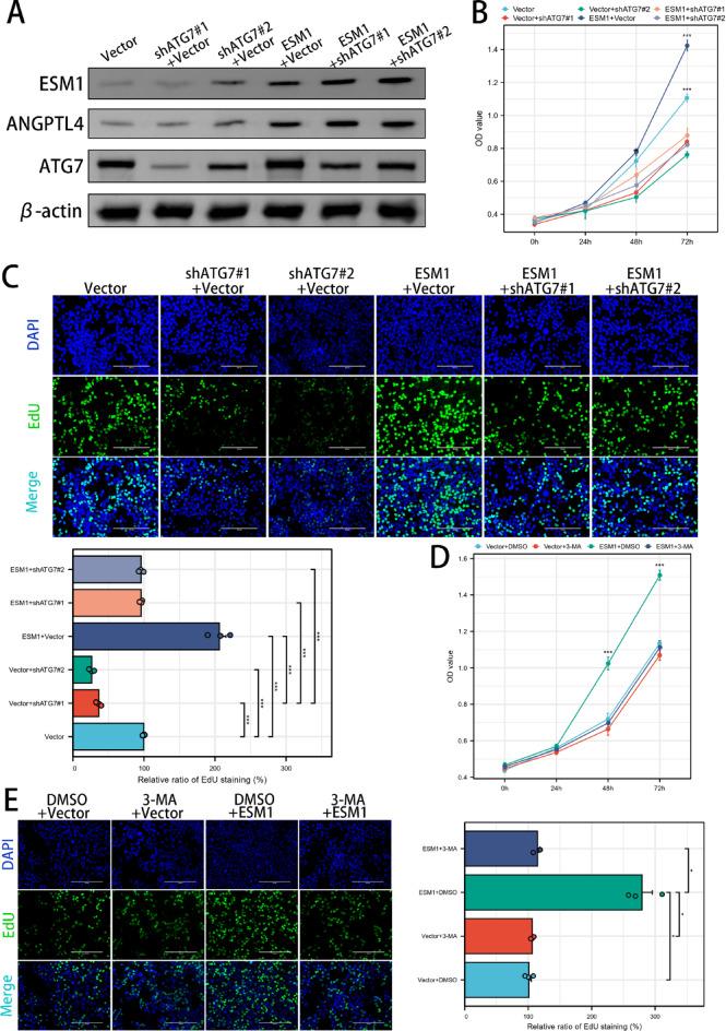 https://cdn.ncbi.nlm.nih.gov/pmc/blobs/48c8/12050336/e2dde1c100e5/41598_2025_581_Fig4_HTML.jpg
