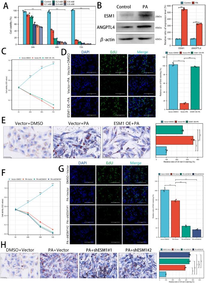 https://cdn.ncbi.nlm.nih.gov/pmc/blobs/48c8/12050336/f9de234f0351/41598_2025_581_Fig2_HTML.jpg