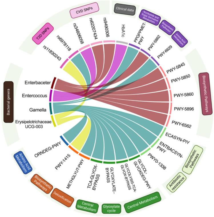 https://cdn.ncbi.nlm.nih.gov/pmc/blobs/48c8/12335437/e8d76e1578b8/41598_2025_14577_Fig5_HTML.jpg