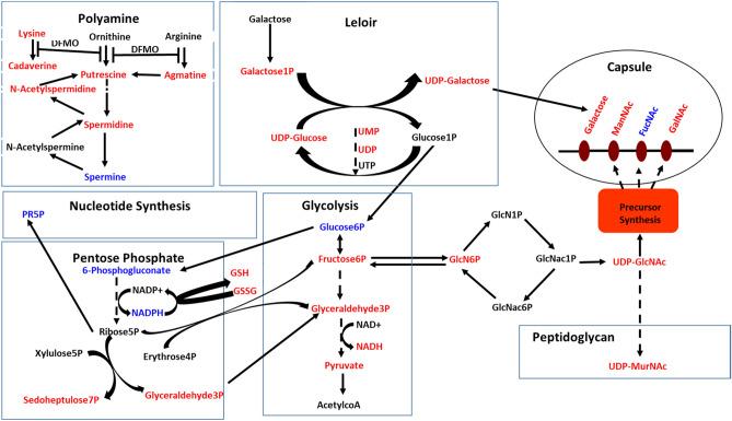 https://cdn.ncbi.nlm.nih.gov/pmc/blobs/48ca/9276676/441864521dd5/41598_2022_16007_Fig5_HTML.jpg