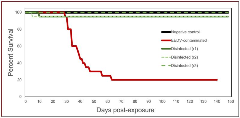 https://cdn.ncbi.nlm.nih.gov/pmc/blobs/48cb/8227329/0a42d62c27b3/pathogens-10-00724-g001.jpg