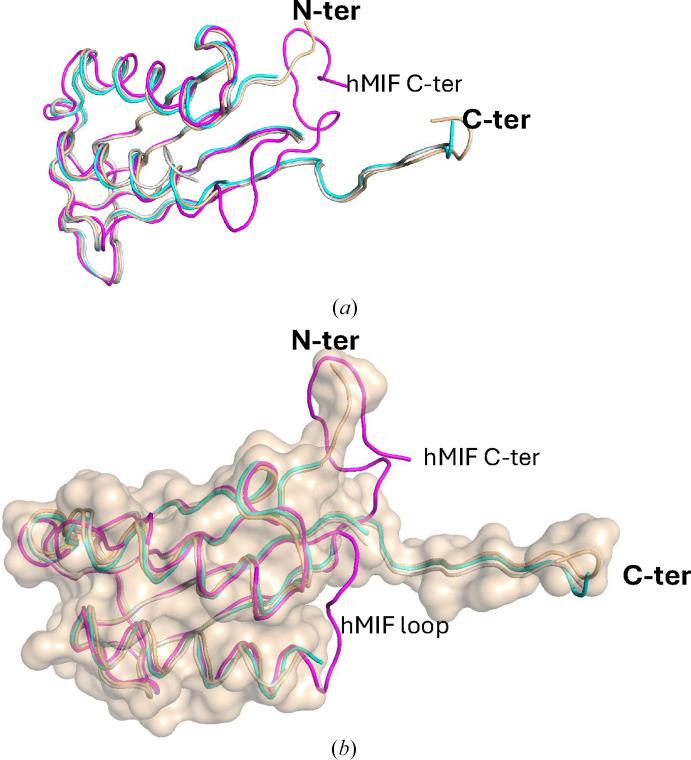 https://cdn.ncbi.nlm.nih.gov/pmc/blobs/48cc/11614107/c05f708628a6/f-80-00328-fig2.jpg