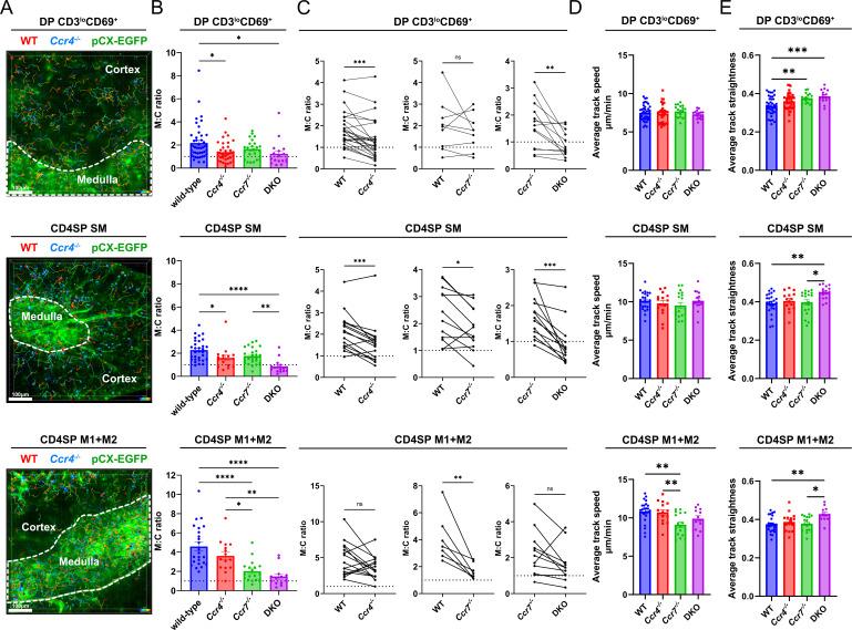 https://cdn.ncbi.nlm.nih.gov/pmc/blobs/48cd/10325719/360e6936948e/elife-80443-fig5.jpg