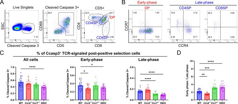 https://cdn.ncbi.nlm.nih.gov/pmc/blobs/48cd/10325719/4c9b1ad39317/elife-80443-fig6.jpg