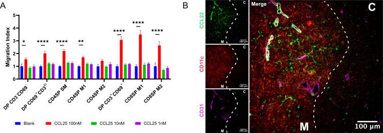https://cdn.ncbi.nlm.nih.gov/pmc/blobs/48cd/10325719/720ca51aa0a1/elife-80443-fig2-figsupp2.jpg