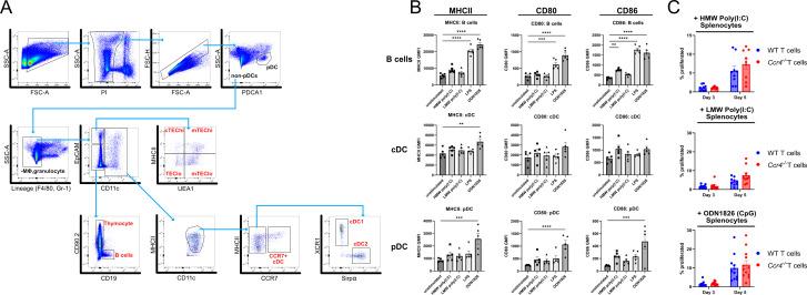 https://cdn.ncbi.nlm.nih.gov/pmc/blobs/48cd/10325719/9a26853e19a4/elife-80443-fig7-figsupp2.jpg